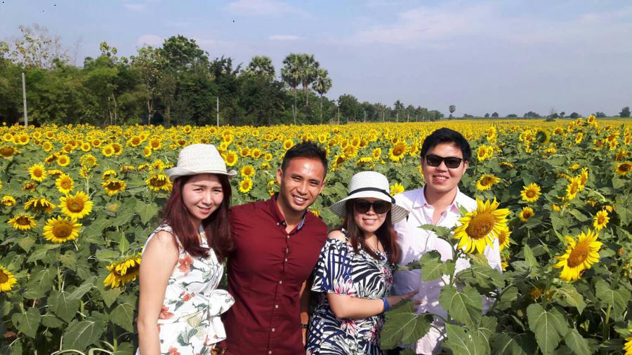 During a few winter months it may be possible to see sunflower blooming around Khao Yai