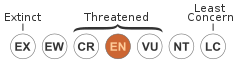 Endangered (IUCN2.3)
