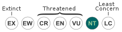 Near Threatened (IUCN3.1)