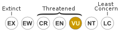 Vulnerable (IUCN3.1)